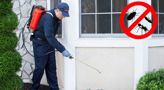 Sarayönü Dezenfeksiyon böcek ilaçlama ve haşere kontrolü — ilaclama-tr.com